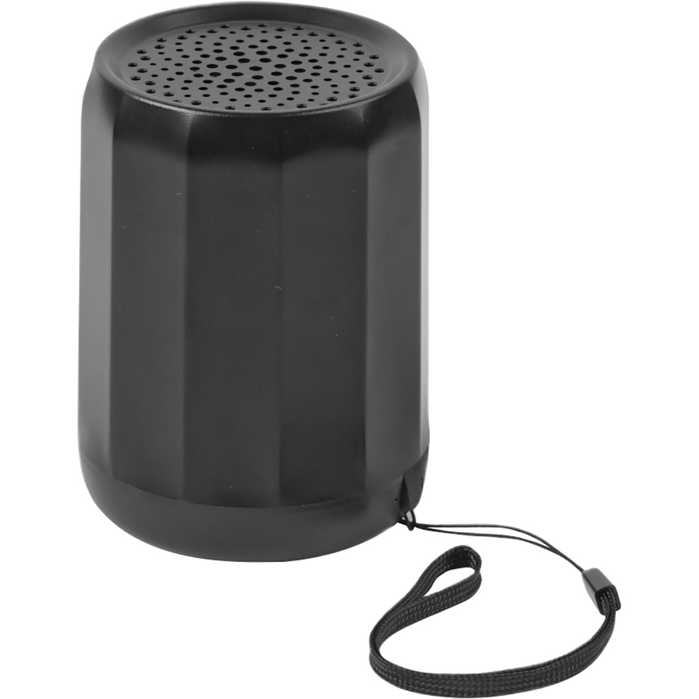 SPK-100 Speaker – görsel 1